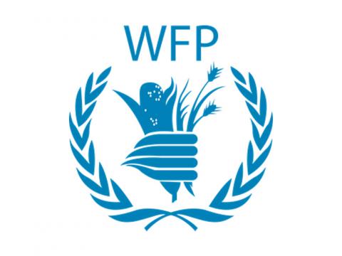 World Food Programme Logo